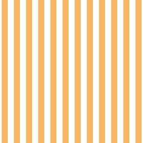 1/4 inch Candy Stripe in squash orange and white  0.25 inch - 106