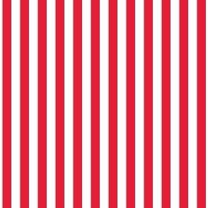 1/4 inch Candy Stripe in tulip red and white  0.25 inch - 111