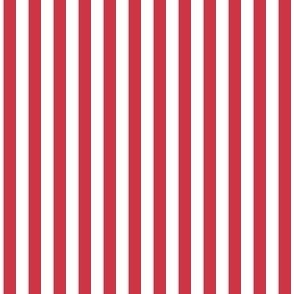 1/4 inch Candy Stripe in cherry red and white  0.25 inch - 112