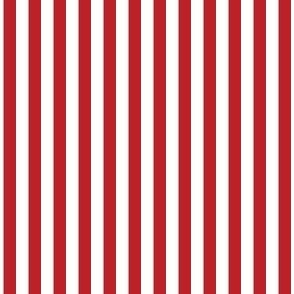 1/4 inch Candy Stripe in red and white  0.25 inch - 115