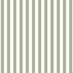 1/4 inch Candy Stripe in ranger green and white  0.25 inch - 116