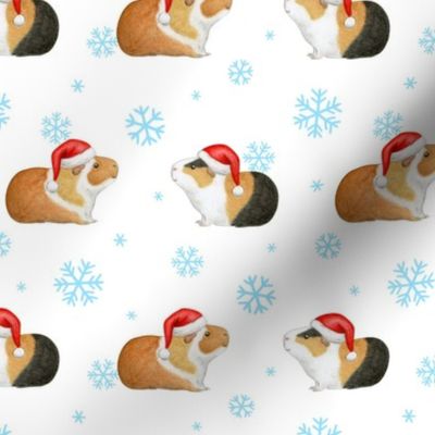 Christmas Guinea Pig Rows with arctic blue Snowflakes on white - medium scale