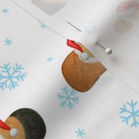 Christmas Guinea Pig Rows with arctic blue Snowflakes on white - medium scale