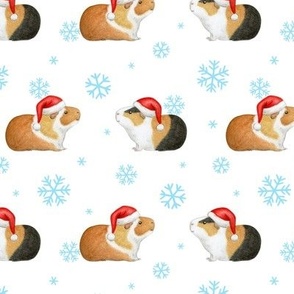 Christmas Guinea Pig Rows with arctic blue Snowflakes on white - medium scale