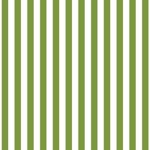 1/4 inch Candy Stripe in sweet pea green and white  0.25 inch - 118