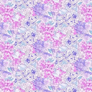 Hydrangeas - Blue, Pink & Purple - Medium
