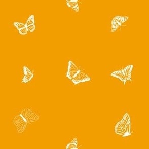 Delicate Tiny Butterflies on Bright Orange