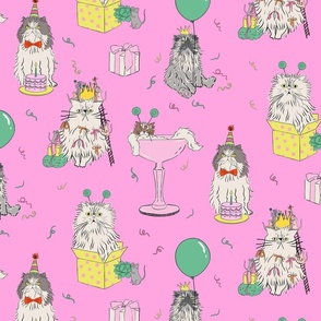 Medium - pink cat party - grumpy persian cats celebrating birthday - presents drinks balloons gifts mice birthday hats