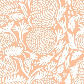 AURORA ZINNIA SUNRISE - Peach Fuzz - Pantone Color of the Year 2024