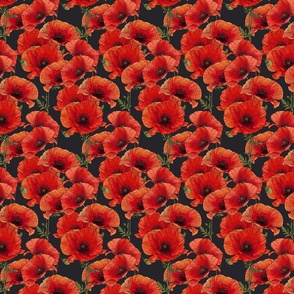 Red Poppies - Red & Black - Small
