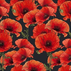 Red Poppies - Red & Black - Large
