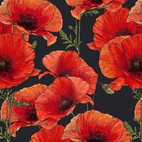 Red Poppies - Red & Black - X Large