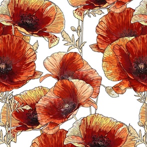 Red Poppies - X Large