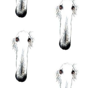 let me do it for you funny borzoi dog long nose