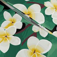 Hawaiian Plumeria-Aloha-Love-Beauty-Romance by kedoki