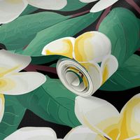 Hawaiian Plumeria-Aloha-Love-Beauty-Romance by kedoki