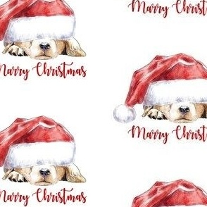 funny christmas labrador dog - puppy in Santa's hat 