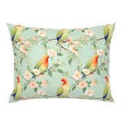 Peach Faced Lovebirds Perching in Tree Twigs with Flowers Spring Summer