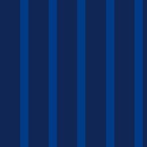 Styling with dark blue Thick and blue Thin Vertical Stripes and Lines