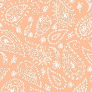 Floral Paisley in White on Peach Fuzz