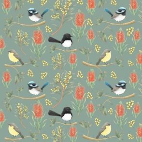 Willie Wagtails, Blue Wrens and Yellow Robin Birds, sage green