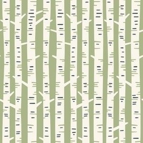 Striped Birch Tree Bark on Soft Green Background Outdoorsy Woodland