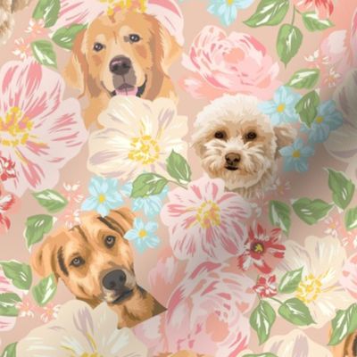 foral puppies