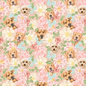 foral puppies
