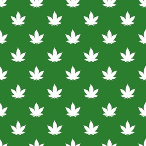 Bigger Scale Cannabis Marijuana Leaves White on Green