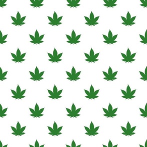 Bigger Scale Cannabis Marijuana Leaves Green on White