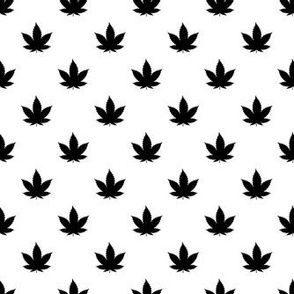 Smaller Scale Cannabis Marijuana Leaves on White