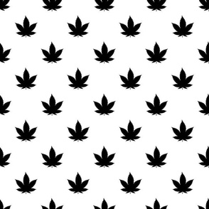 Bigger Scale Cannabis Marijuana Leaves Black on White