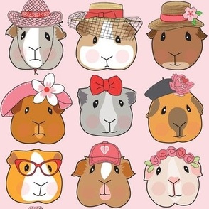 Valentine guinea pig faces