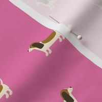 Basset Hounds (Pink)