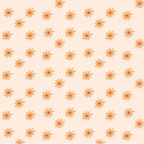 Daisy Orange Flowers