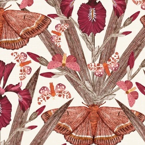 Deep Red Dutch Iris & Moths on cream off white - lighter than S W Whitetail #F4EFE4  Vintage Botanical Wallpaper | jumbo