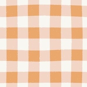 Gingham Check in Peachy Pink with Texture 