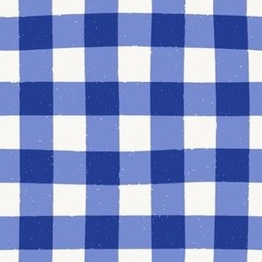 Gingham Check in Dark Blues with Texture