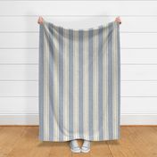 Woven Ticking Stripe Blue Grey