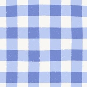 Gingham Check in Soft Blue with Texture