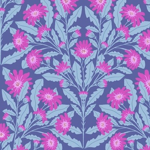 Chinese Aster Blue and Pink