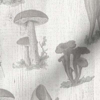 VINTAGE MUSHROOMS FADED COLORS - WOODEN TEXTURE, LARGE SCALE