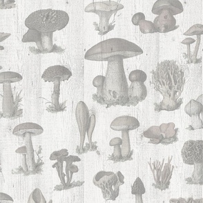VINTAGE MUSHROOMS FADED COLORS - WOODEN TEXTURE, LARGE SCALE