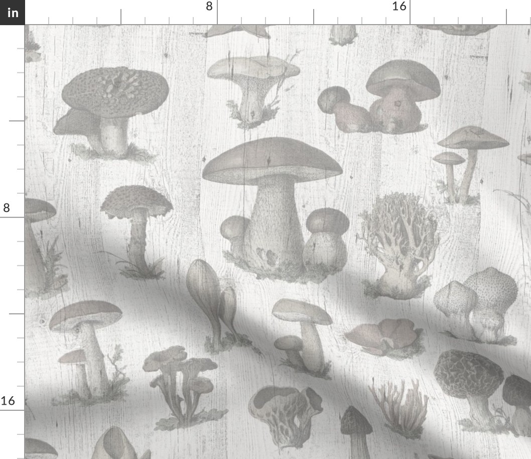 VINTAGE MUSHROOMS FADED COLORS - WOODEN TEXTURE, LARGE SCALE