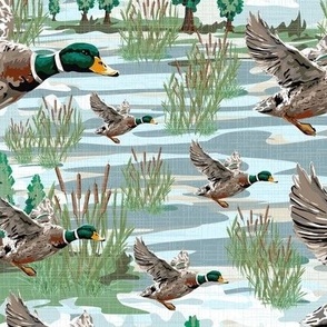 Wild Birds Flying Mallard Ducks Migrating, Riverside Migration Scene, Emerald Green Bird Feathers, Freshwater Cattails Riverbed (Small Scale)