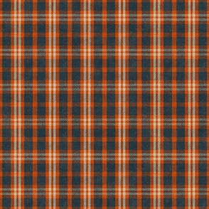 North Country Plaid - large - denim, tomato, and canvas