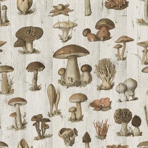 WARM VINTAGE MUSHROOMS MUTED COLORS - WOODEN TEXTURE, MEDIUM SCALE