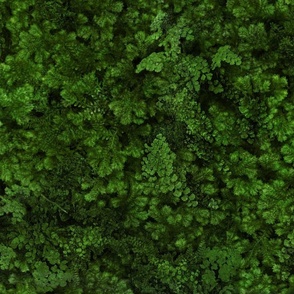 Mossy Green Flora - 8a