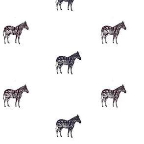 zebra rain