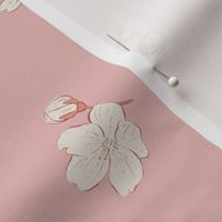 Sakura Cherry Blossom Hanami Festival - Blush Pink and Cream #P230471